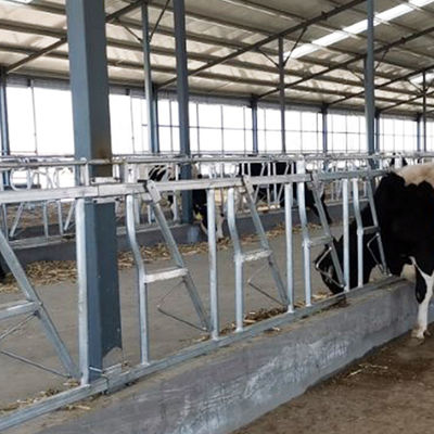 замок коровы 0.4m/Cow главный