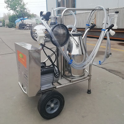 2 коровы машины 24 молока фермы коровы ведер 220L/Min в час