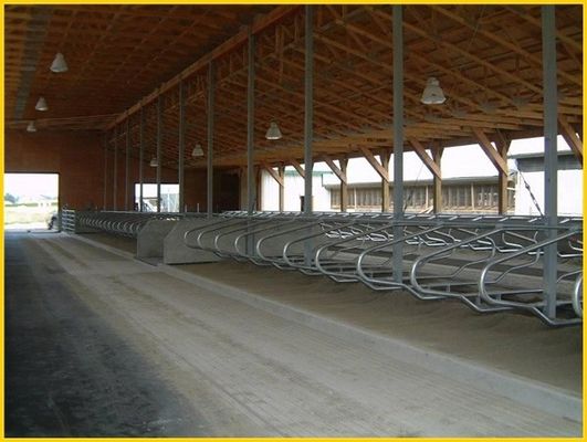 На равных тип размер свободного стойла скотин загородки 1.30m/cow регулируемый