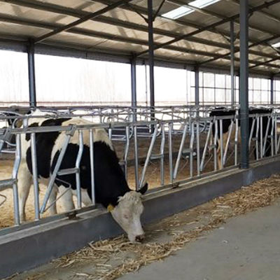 замок коровы 0.4m/Cow главный