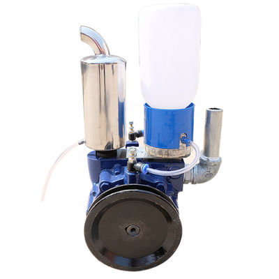 роторный вакуумный насос лопасти 220V